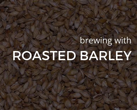 how to use roasted barley